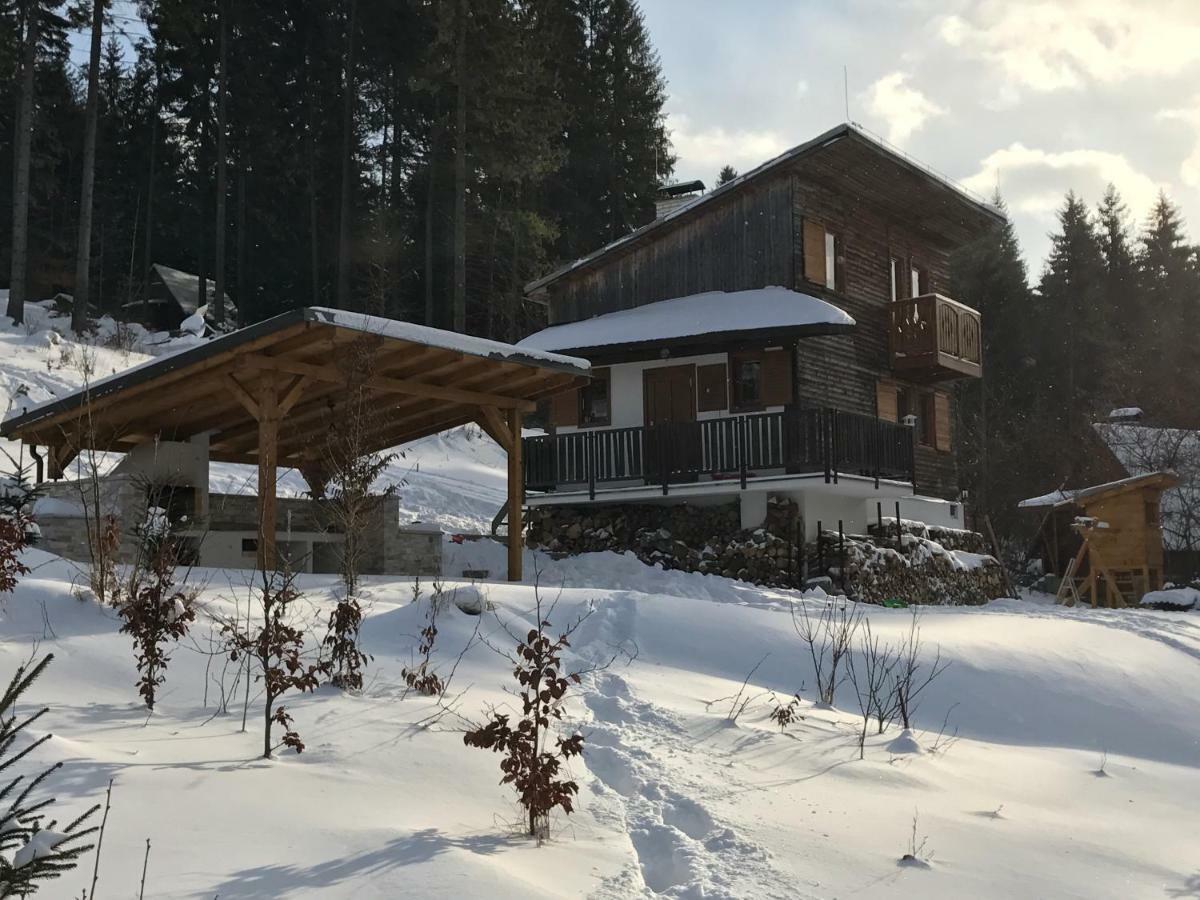 Chalet Velke Ostre Radola エクステリア 写真
